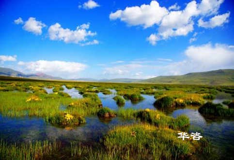 長沙水土保持？湖南省水土保持編制專業(yè)公司_10年專注水土保持報告的編制。